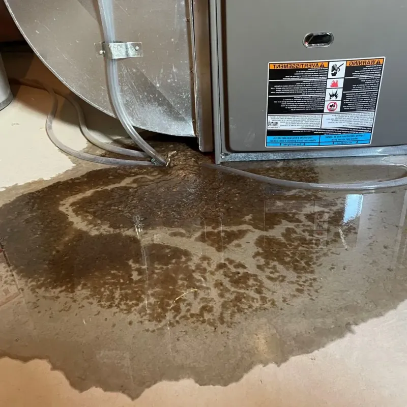 Pipe Burst and Leak Restoration in Piketon, OH