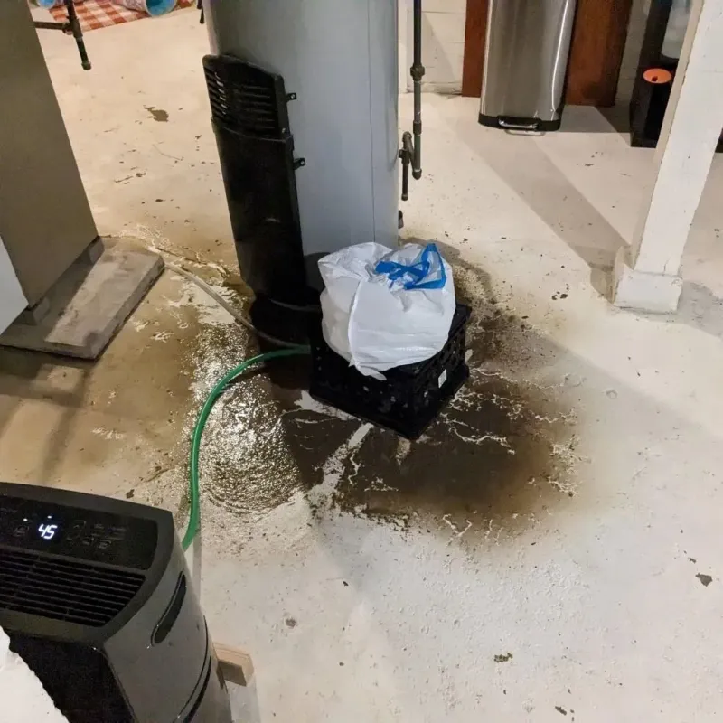 Sewage Backup Cleanup Service in Piketon, OH